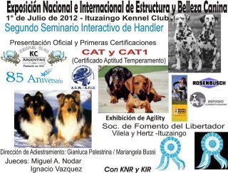 Imagen destacada del artículo «Exposición Oficial del Kennel Club Argentino»